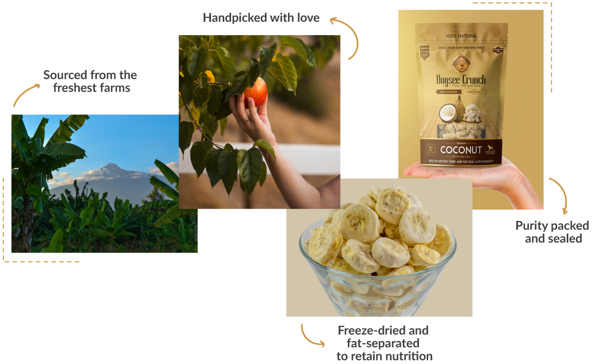 process of making crunch treats process of making crunch training treats