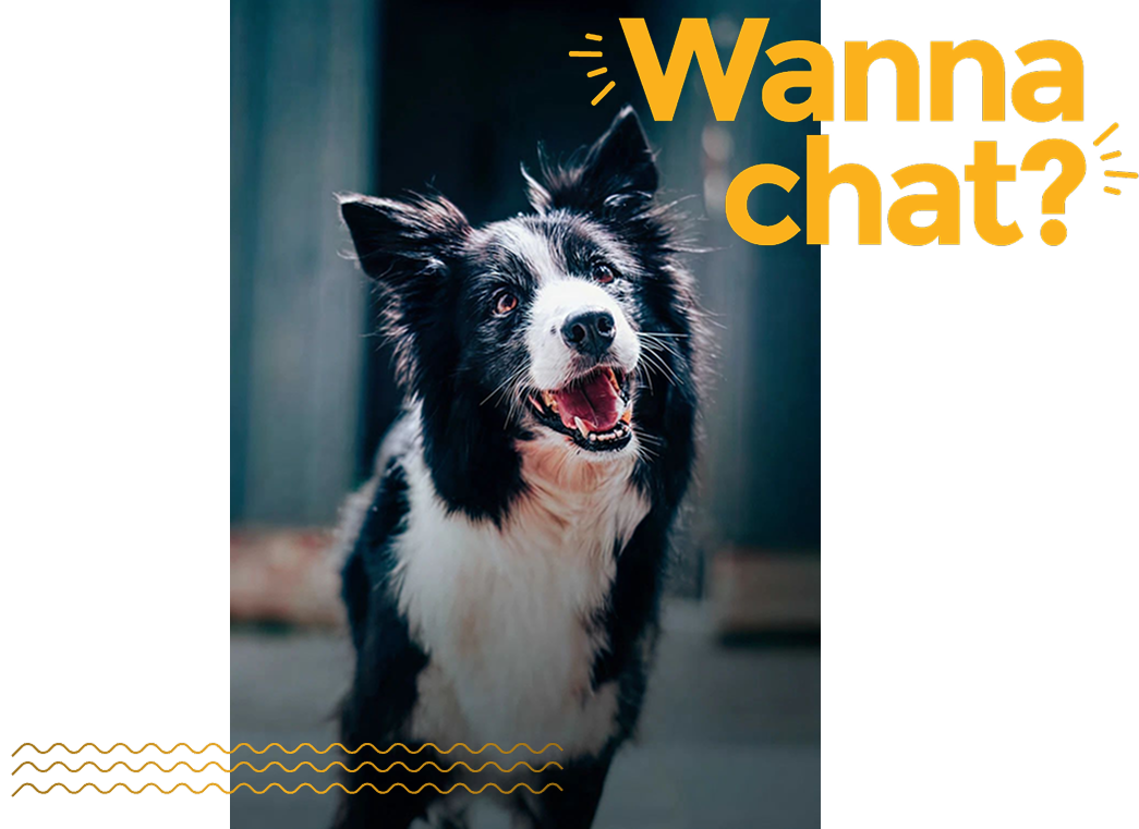 contact for dog treats bulk order 